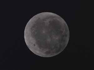 Moon 3D 模型