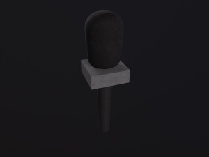News microphone 3D Model