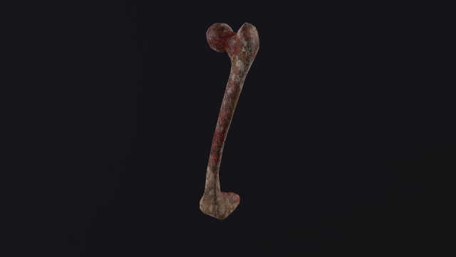 Bone 3D Model .c4d .max .obj .3ds .fbx .stl .blend 
