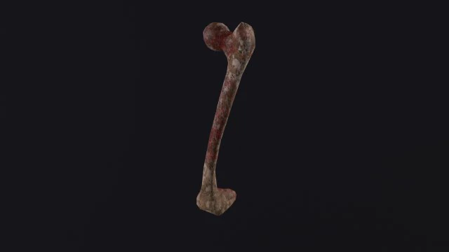 Kość Model 3D .c4d .max .obj .3ds .fbx .stl .blend 