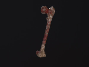 Bone 3D Model