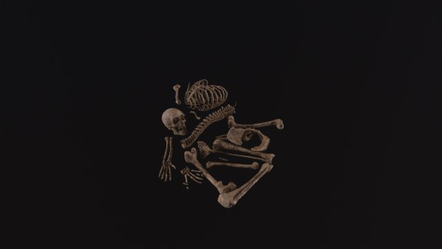 Dead Skeleton 3D Model .c4d .max .obj .3ds .fbx .stl .blend 