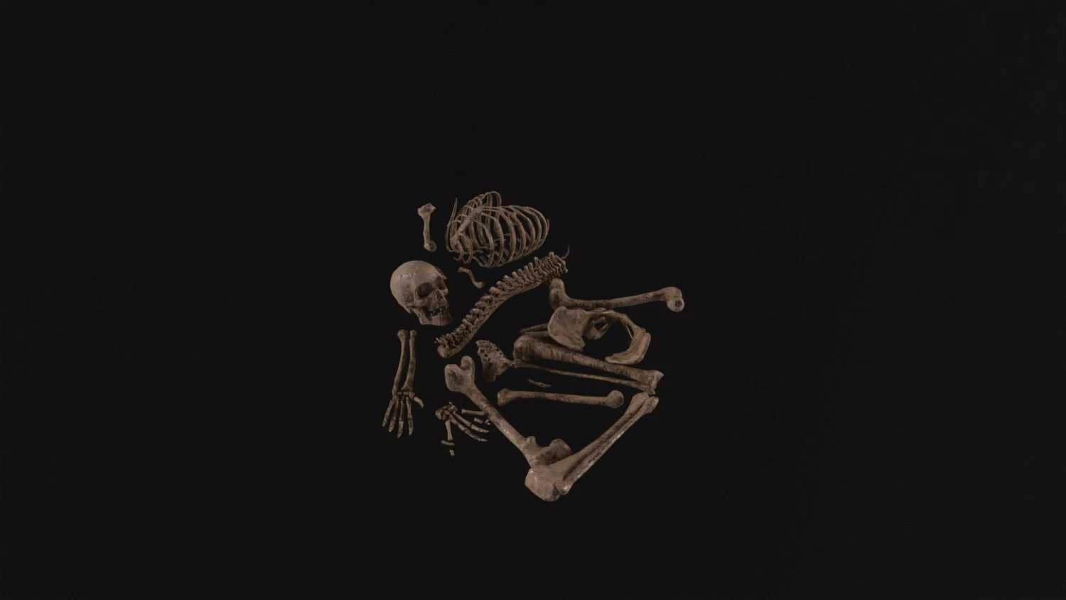 Dead Skeleton 3D Model .c4d .max .obj .3ds .fbx .stl .blend 