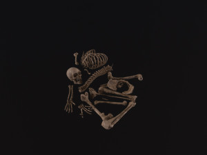 Dead Skeleton 3D मॉडल