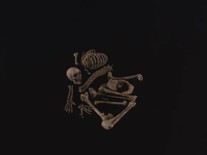 Мертвый скелет 3D Модель