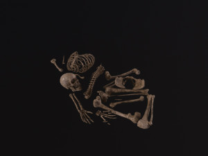 Dead Skeleton 3D Model