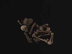 Dead Skeleton 3D Model