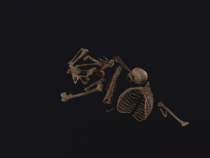 Dead Skeleton 3D Model