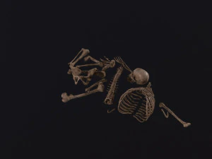 Dead Skeleton 3D Model