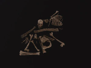 Dead Skeleton 3D Model