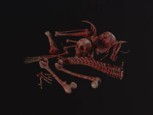 Жуткая куча костей 3D Модель