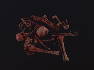 Creepy Pile of bones Model 3D