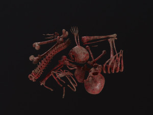 Creepy Pile of bones Model 3D