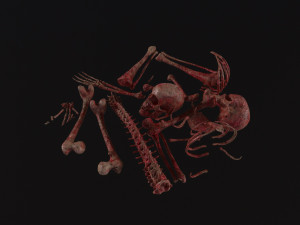 Creepy Pile of bones Model 3D