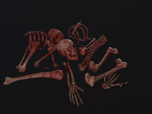 Creepy Pile of bones Model 3D