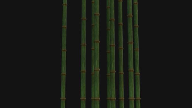 Bamboo trunk 3D-Modell .c4d .max .obj .3ds .fbx .stl .blend 
