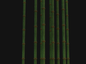 Bamboo trunk Model 3D