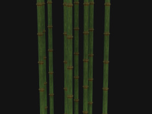 Bamboo trunk 3D-Modell