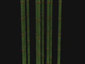 Bamboo trunk 3D Model
