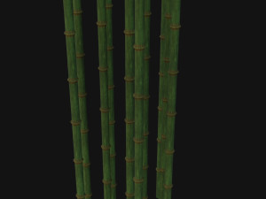 Bamboo trunk 3D-Modell