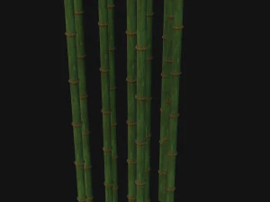 Bamboo trunk 3D Model