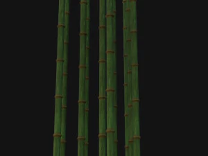 Bamboo trunk 3D Model