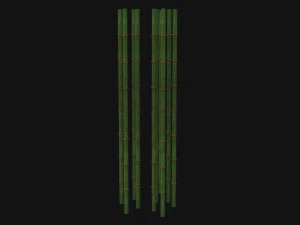Bamboo trunk 3D Model