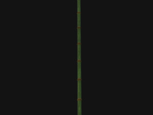 Bamboo trunk 3D-Modell