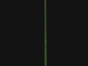 Bamboo trunk 3D Model