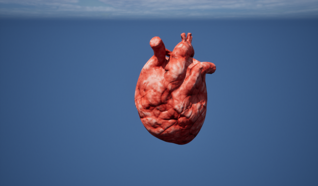 Heart Organ Modello 3D .c4d .max .obj .3ds .fbx .stl .blend 