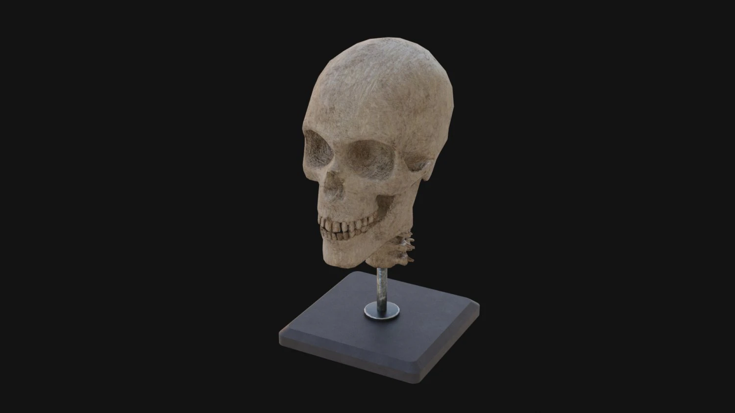 Human Skull 3D Model .c4d .max .obj .3ds .fbx .stl .blend