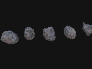 Asteroids 3D Model
