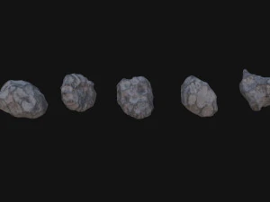 Asteroids 3D Model