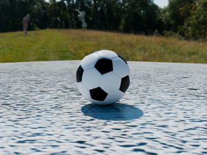 Football Soccer 3D Model