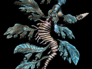 Drag&atilde;o Marinho Folhado Sereia Guerreira Modelo 3D