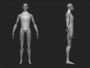 Simplified male-female base mesh Model 3D
