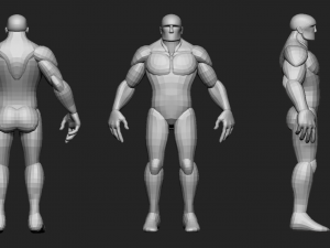 Muscular character base mesh 3D Model