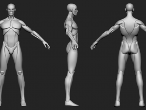 Male basemesh Modelo 3D
