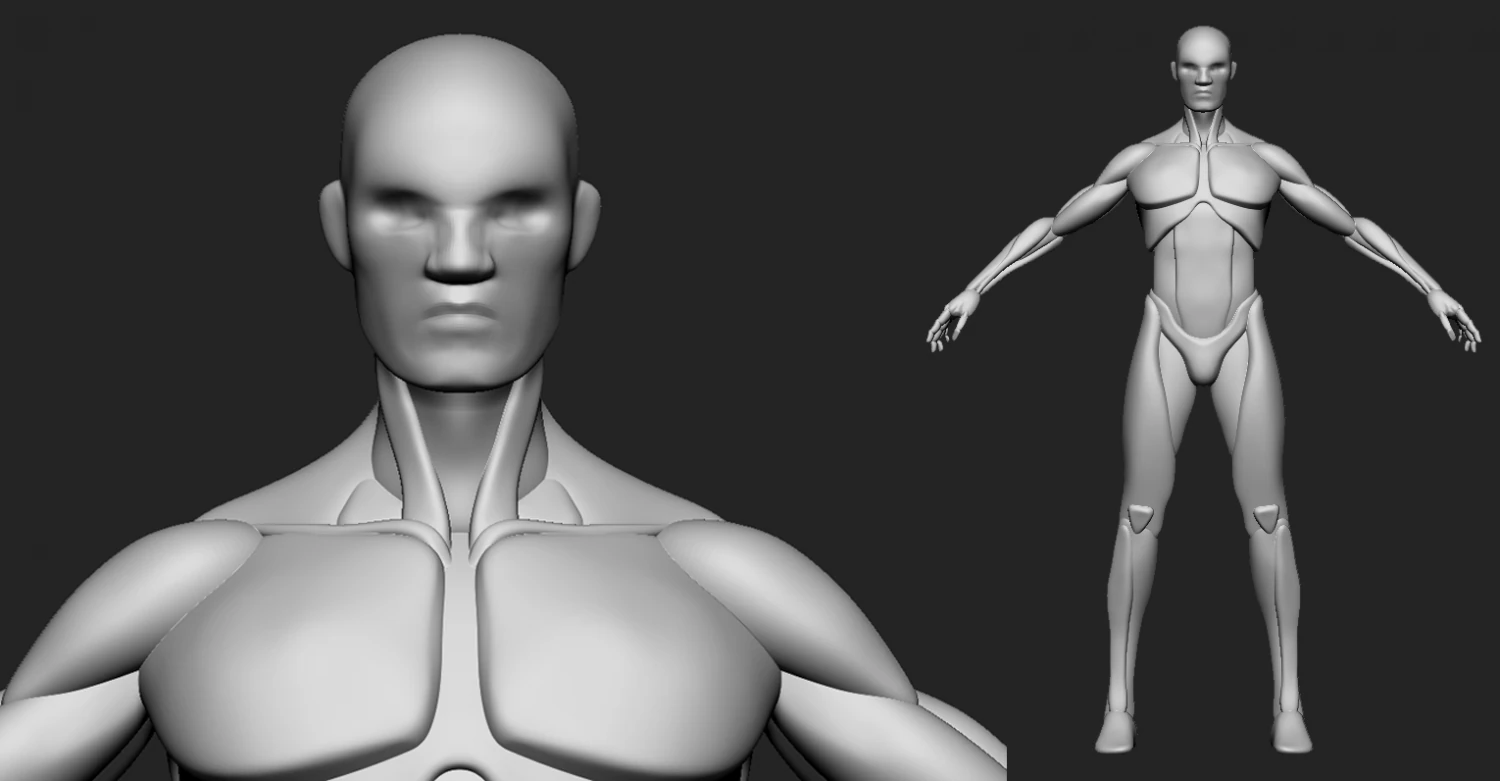 Male basemesh 3D Model .c4d .max .obj .3ds .fbx .stl .blend 