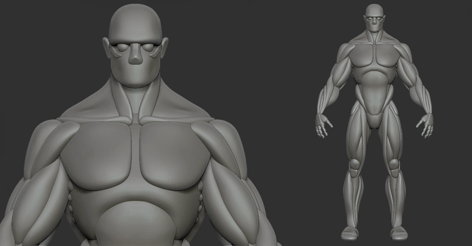 Strong character base mesh 3D Model .c4d .max .obj .3ds .fbx .stl .blend 