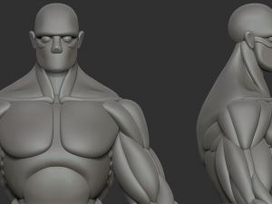 Strong character base mesh 3D Model