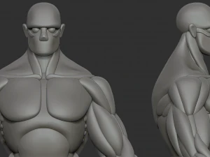 Strong character base mesh 3D Model
