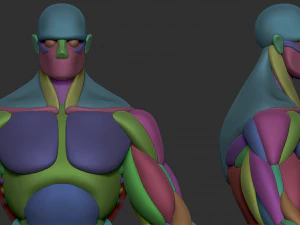 Strong character base mesh 3D Model