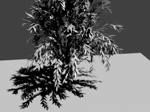 Tree 3D Model