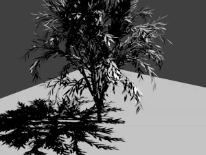 Ağa&ccedil; 3D Model