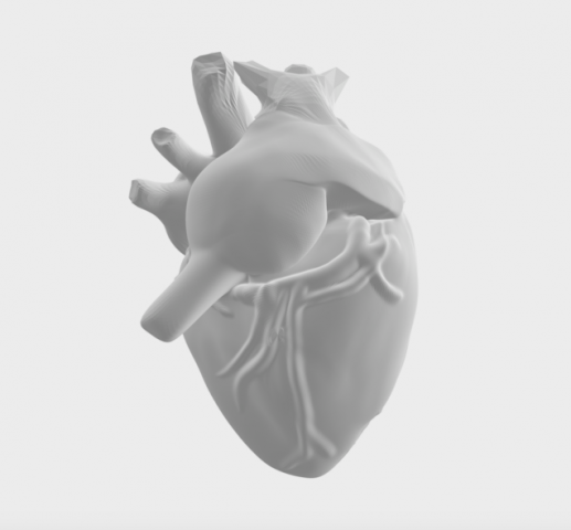 Heart Modelo 3D .c4d .max .obj .3ds .fbx .stl .blend 