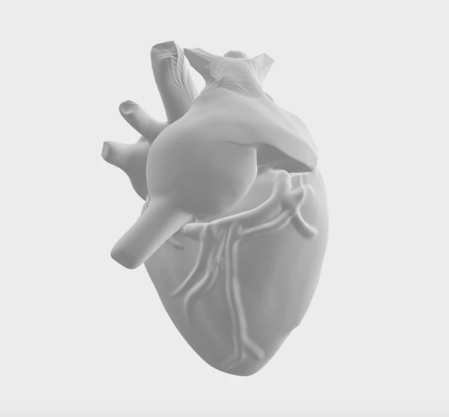 Heart 3D Model .c4d .max .obj .3ds .fbx .stl .blend 