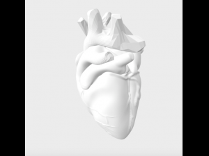 Heart Modelo 3D