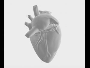 Heart Modelo 3D