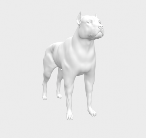 Pitbull Modelo 3D .c4d .max .obj .3ds .fbx .stl .blend 